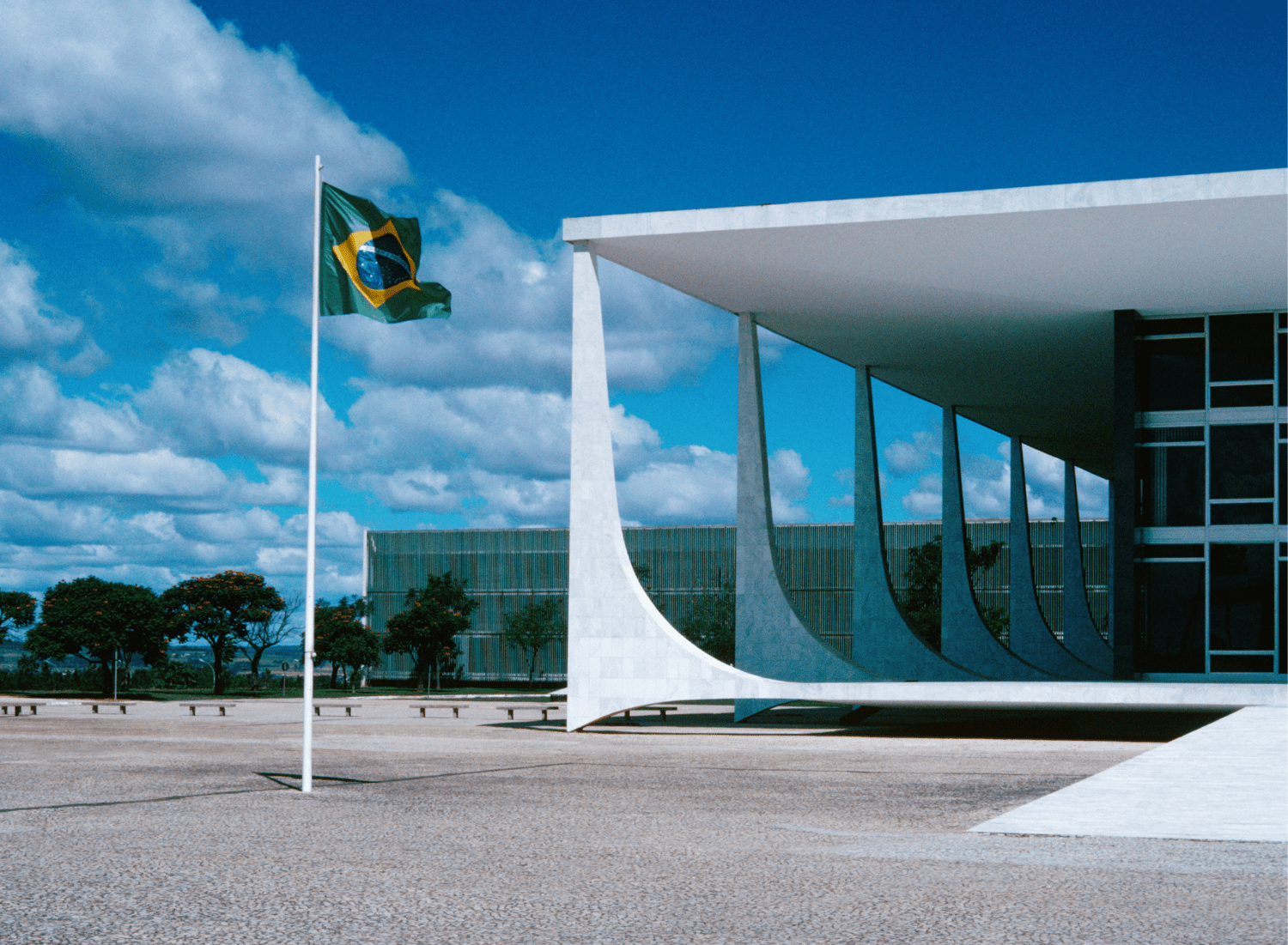 7 de Setembro: Entidades orientam repórteres sobre segurança na cobertura –  Home